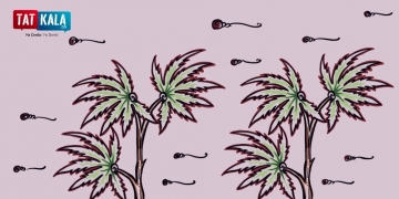 Kawi Mabuk – Ladang Ganja dan “Tukang Kebun” Rabindranath Tagore