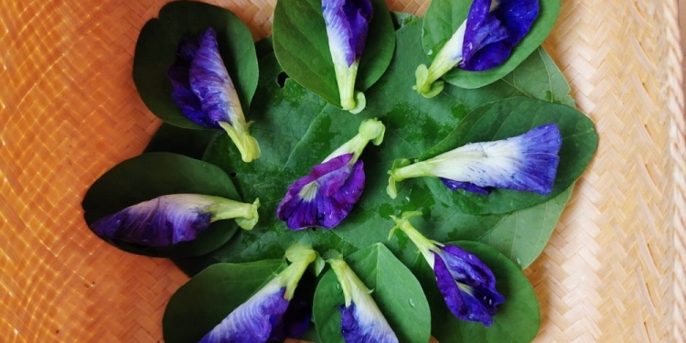 Śraddha-Jñana-Wiweka: Tri Dharma Hindu Nusantara — Tiga Pilar Dasar Merumuskan Tradisi Hindu Nusantara