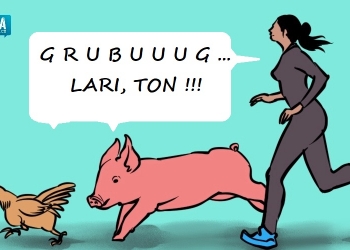 Penggemar Lawar dan Peternak Kecil, Sama-sama Menunggu Kabar Baik