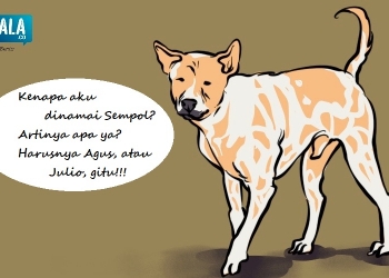 Anjing Bali dalam Hidup Masyarakat Bali