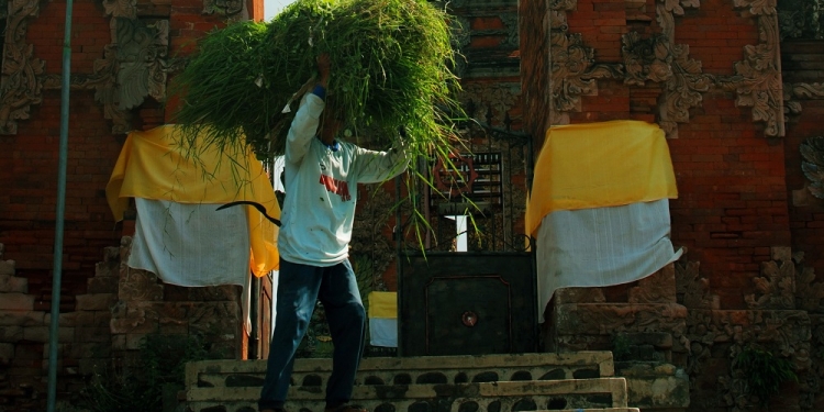 I Segnol dan I Dangin dari Kalianget