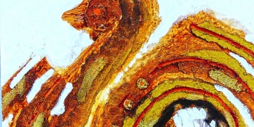 [Puisi-puisi Manik Sukadana] – Pernyataan Pada Perempuan Pengagum Warna