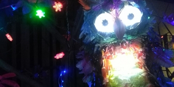 Kelangkaan Burung Hantu di Bali