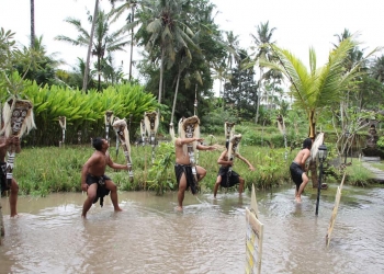 Lelakut Itu Hantu Sawah Bukan Menghantui Sawah Untuk Disulap Jadi Yang Lain