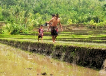 “Uba ngamah ko?” | Mari Belajar Bahasa Pedawa