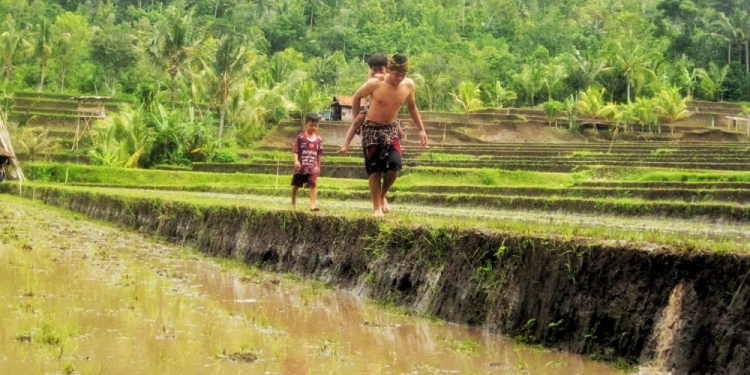 “Uba ngamah ko?” | Mari Belajar Bahasa Pedawa