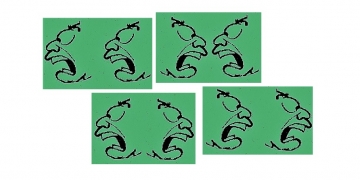 Makian dan Keterancaman Muka