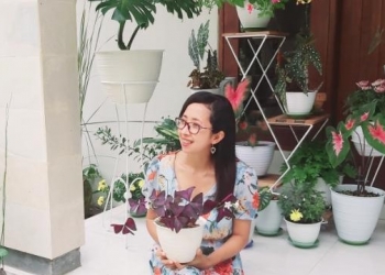 Harta, Tahta dan Variegata