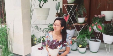 Harta, Tahta dan Variegata