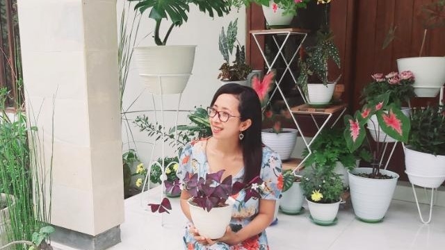 Harta, Tahta dan Variegata