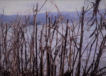 Puisi-puisi NW Adnyani | Matahari Tenggelam di Danau Batur