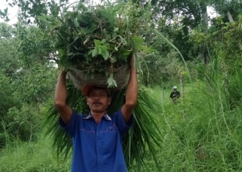 Bli Parta, Berumah di Batas Hutan Les & Siakin | Makin Modern, Makin Hening