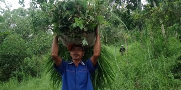 Bli Parta, Berumah di Batas Hutan Les & Siakin | Makin Modern, Makin Hening