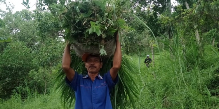 Bli Parta, Berumah di Batas Hutan Les & Siakin | Makin Modern, Makin Hening