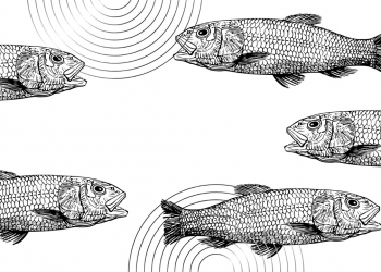 Kisah-Kisah Ganjil dari Negeri Cina | Ikan yang Bisa Bicara