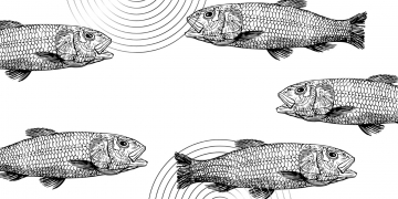 Kisah-Kisah Ganjil dari Negeri Cina | Ikan yang Bisa Bicara