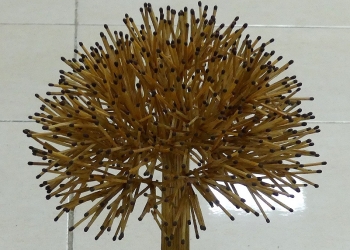 Puisi-puisi Eny Sukreni | Lima Macam Kecemasan