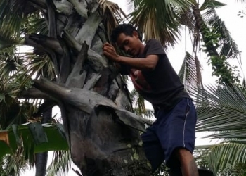 Komang Suwanara, Menyadap Tuak Sejak SMP