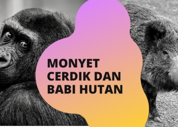 Monyet Cerdik dan Babi Hutan | Dongeng dari Jepang