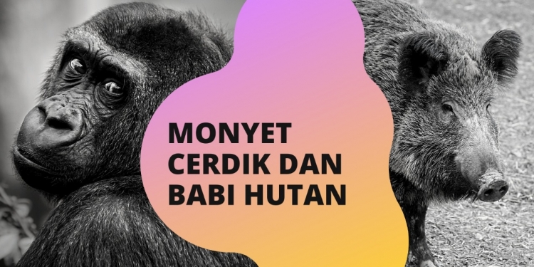 Monyet Cerdik dan Babi Hutan | Dongeng dari Jepang