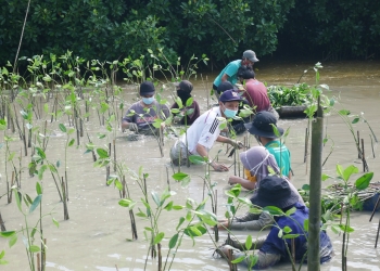 Sepuluh Ribu Mangrove dari Somethinc untuk Desa Bedono, Demak, Jawa Tengah