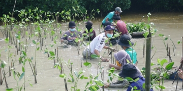 Sepuluh Ribu Mangrove dari Somethinc untuk Desa Bedono, Demak, Jawa Tengah
