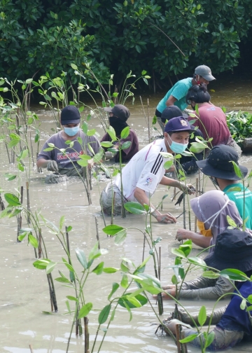 Sepuluh Ribu Mangrove dari Somethinc untuk Desa Bedono, Demak, Jawa Tengah