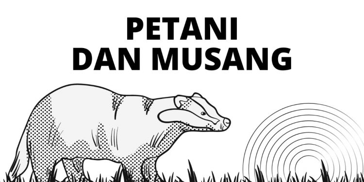 Petani dan Musang | Dongeng dari Jepang