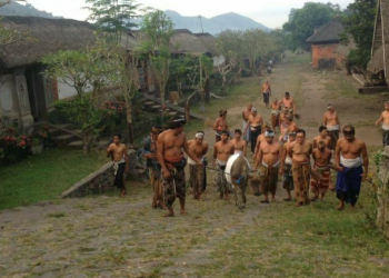 Mati Ombo Sanghyang | Persembahan Kerbau Hitam di Desa Adat Tenganan Pegringsingan