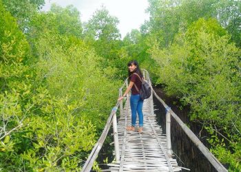 Mangrove Tumbuh Riang di Pejarakan: Ikan Senang, Nelayan Senang