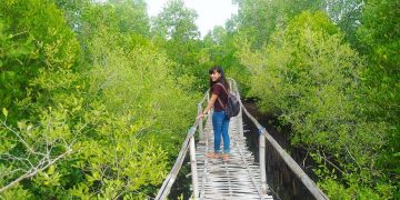 Mangrove Tumbuh Riang di Pejarakan: Ikan Senang, Nelayan Senang