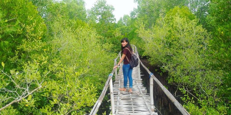 Mangrove Tumbuh Riang di Pejarakan: Ikan Senang, Nelayan Senang