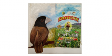 Manfaat Tersembunyi Hama Burung