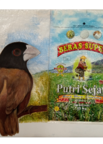 Manfaat Tersembunyi Hama Burung