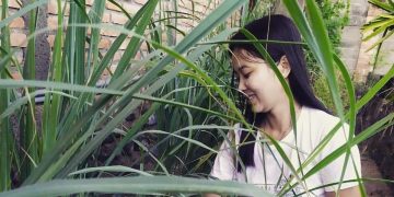 Percayalah, Berkebun di Halaman Rumah Bisa Sebabkan Listrik Gratis