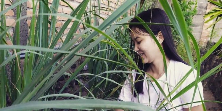 Percayalah, Berkebun di Halaman Rumah Bisa Sebabkan Listrik Gratis