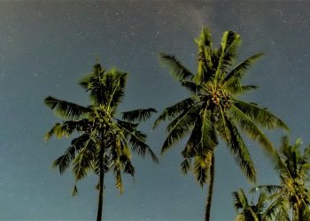 Puisi-puisi IBW Widiasa Keniten | Tombak Bermata Tiga