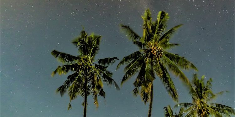 Puisi-puisi IBW Widiasa Keniten | Tombak Bermata Tiga