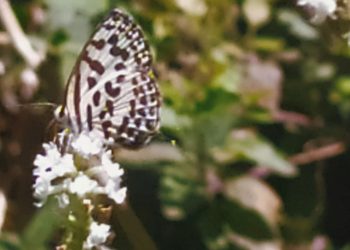 Harmonisasi Material-Spiritual | Sebuah Renungan