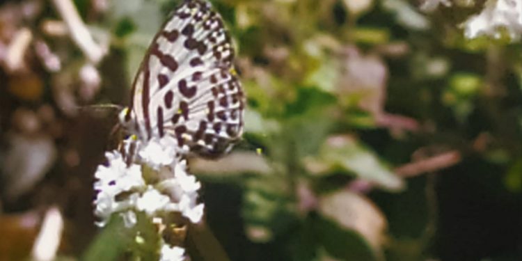 Harmonisasi Material-Spiritual | Sebuah Renungan