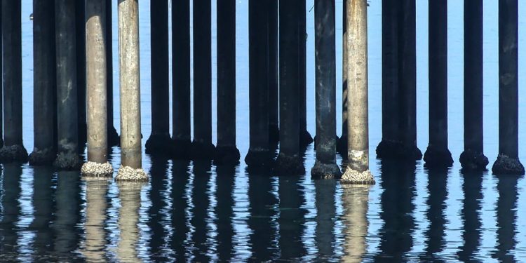 Kesehatan Mental, Pandemi, Bunuh Diri