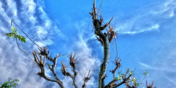 Puisi-puisi Angga Wijaya | Mengirim Suara Ibu ke Angkasa