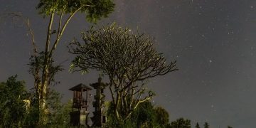 Puisi-puisi Rai Sri Artini | Oleg Tamulilingan, Di Suatu Masa