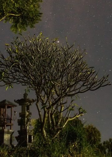 Puisi-puisi Rai Sri Artini | Oleg Tamulilingan, Di Suatu Masa