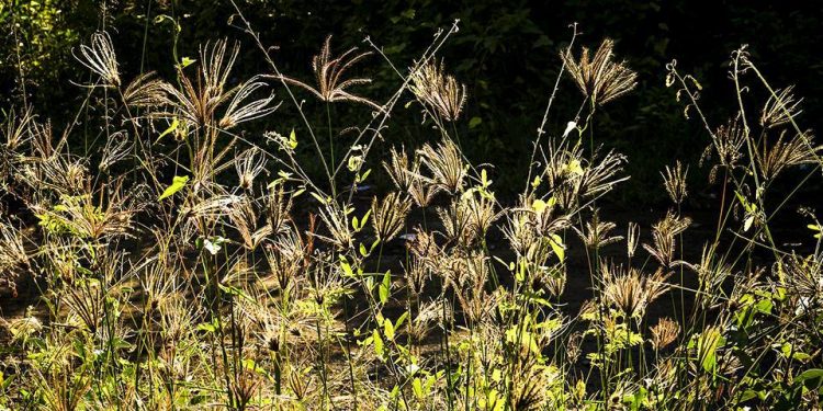 Kesemarakan Beragama dan Kebangkrutan Moralitas