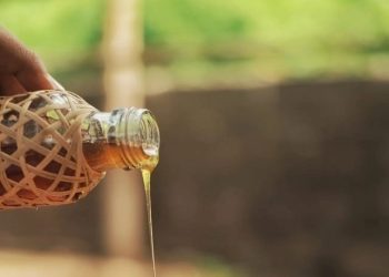 Rahasia Madu untuk Kesehatan