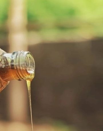 Rahasia Madu untuk Kesehatan