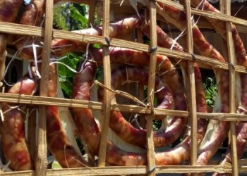 “Urutan Galungan” Juga Layak Ditetapkan Jadi Warisan Budaya Tak Benda, Seperti Babi Guling