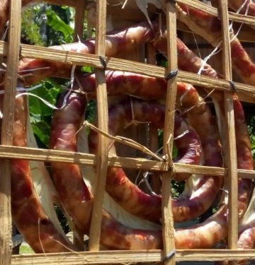 “Urutan Galungan” Juga Layak Ditetapkan Jadi Warisan Budaya Tak Benda, Seperti Babi Guling