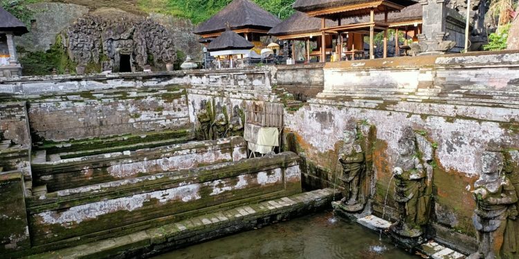 Sastra Jawa Kuno Menyoroti Persoalan Ekologi